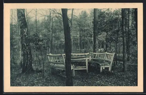 AK Berlin-Lichtenrade, Sanatorium Birkenhaag, Parkanlage mit Sitzbänken