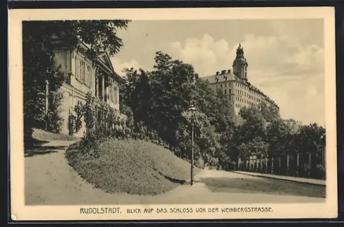 AK Rudolstadt, Blick auf das Schloss von der Weinbergstrasse