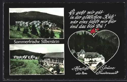 AK Silberstein, Ortsansichten, Waldlandschaft