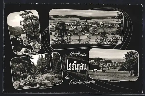 AK Issigau im Frankenwald, Totalansicht, Hirschsprung, Teufelsbrücke