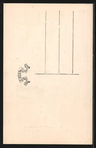 AK Renaix, La Rue des Foncs, Strassenpartie