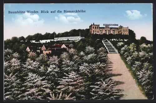 AK Werder / Havel, Blütenpracht am Gasthof Bismarckhöhe