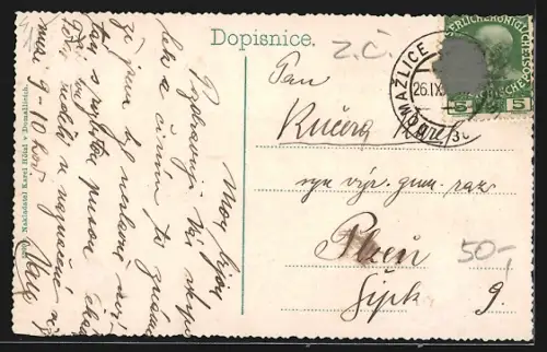 AK Domazlice, Celkovy pohled