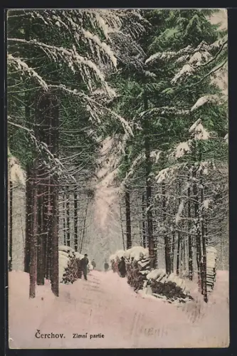 AK Cerchov, Zimni partie