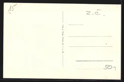 AK Domazlice, Strassenpartie mit Tor