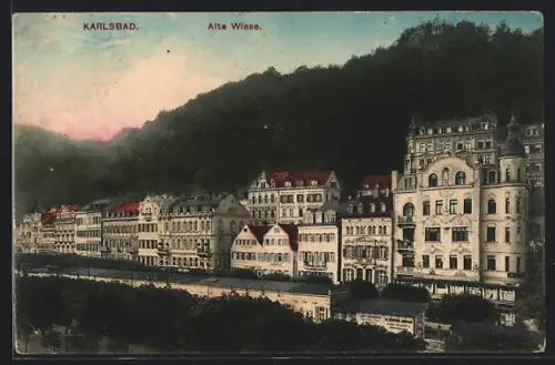 AK Karlsbad, Alte Wiese, Gebäudepanorama