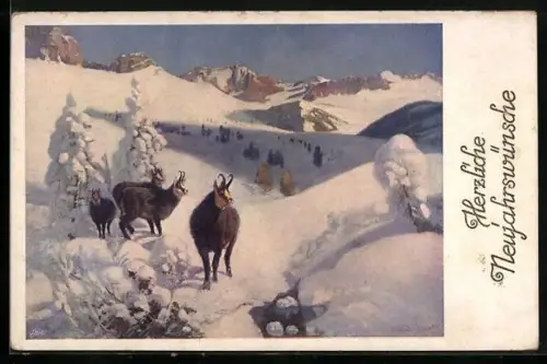 AK Gämsen im Schnee