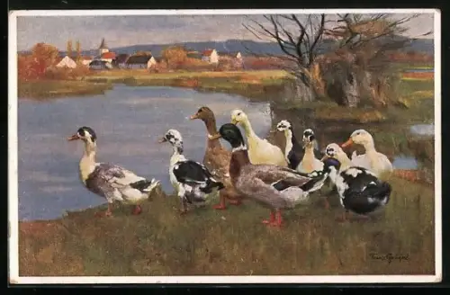 Künstler-AK Enten laufen in den See, Blick auf Dorf