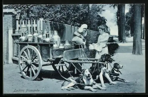 AK Laitière Flamande, Milchtransport per Hundegespann, Pause bei einem Glas Milch