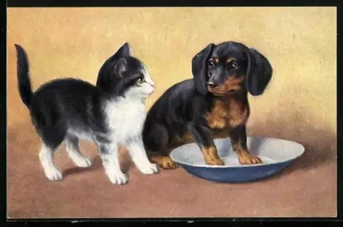 AK Dackelwelpe und Katzenkind