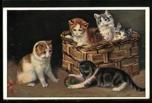 AK Katzen spielen mit dem bunten Ball