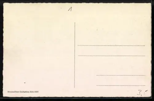 AK Berlin, Brandenburger Tor mit Automobilen