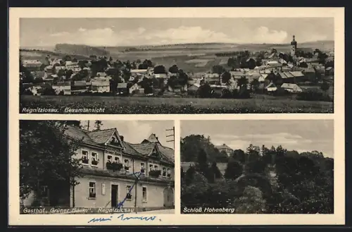 AK Regnitzlosau, Gesamtansicht, Gasthaus Grüner Baum, Schloss Hohenberg