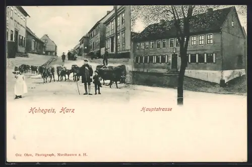 AK Hohegeiss /Harz, Partie in der Hauptstrasse