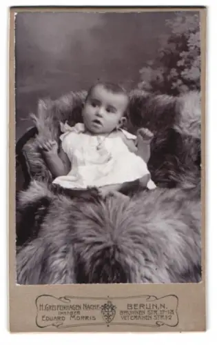 Fotografie Eduard Morris, Berlin, Brunnenstrasse 17-18, Kleines Kind auf Fell gebettet