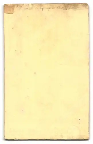 Fotografie J. Liedtke, Insterburg, Ref. Kirchenstr. 24, Dame im eleganten Kleid