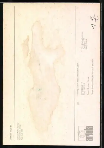 AK Musiker Conny Morin in die Kamera blickend, Autograph