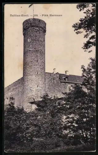 AK Tallinn, Pikk Hermann