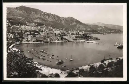 AK Monte Carlo, Vue d`ensemble