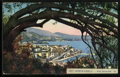AK Monte Carlo, Vue générale
