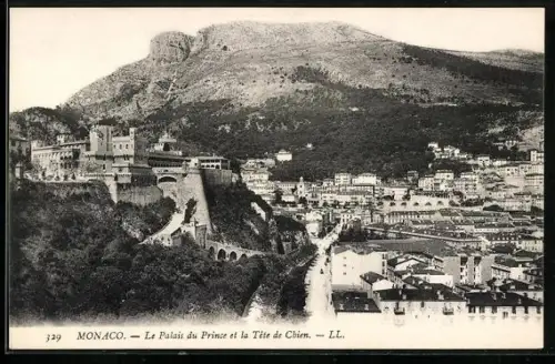 AK Monaco, Le Palais du Prince et la Tete de Chien