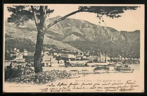 AK Monte Carlo, Vue generale