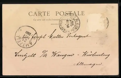 AK Monte Carlo, Vue generale