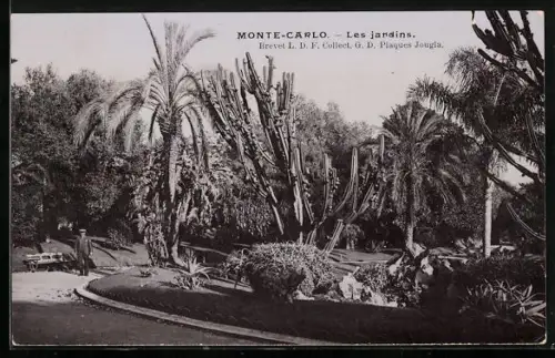AK Monte Carlo, Les jardins