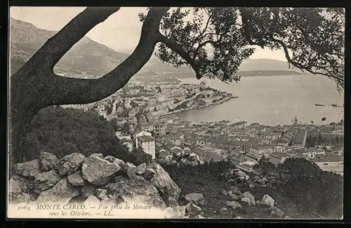 AK Monaco, Vue prise de Monaco sous les Oliviers