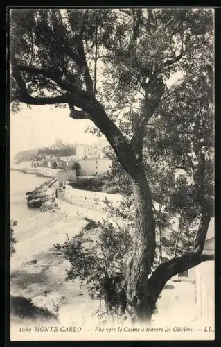 AK Monte-Carlo, Vue vers le Casino à travers les Oliviers