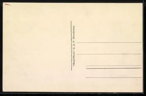 AK Monaco, Palais du Prince et la Montée Major