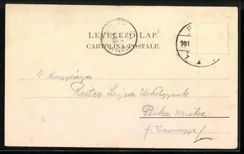 AK Fiume, Via del governo