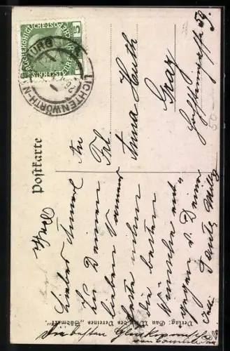 Künstler-AK Verein Südmark, Bleib, alte deutsche Kaiserpfalz, des deutschen Landes Schwelle..., Ritter mit Fahne