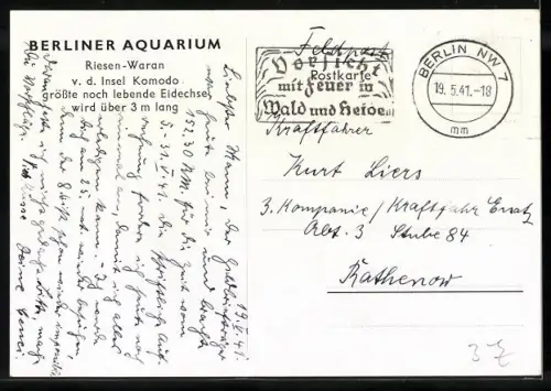 AK Berlin, Aquarium, Riesen-Waran von der Insel Komodo