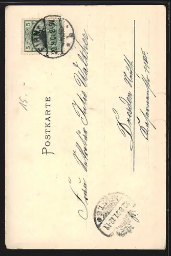 AK Pirna, Untermarkt, Stadtkirche, Rathaus