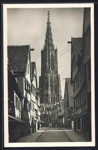 AK Ulm / Donau, Münster mit Strasse