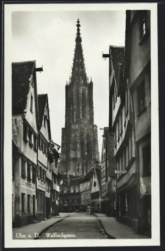 AK Ulm a. D., Walfischgasse, Münster