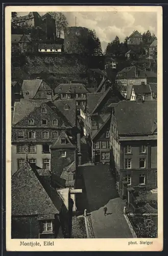 AK Montjoie /Eifel, Blick auf Altstadt und Burg