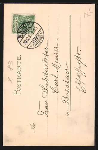 Lithographie Pirna, Marktplatz, Stadtkirche, Rathaus