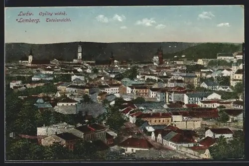 AK Lwów, Ogólny widok