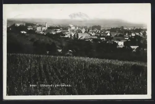 AK Uzhorod, Panorama