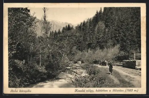 AK Rahó környéke, Kevelei vögy, háttérben a Bliznica