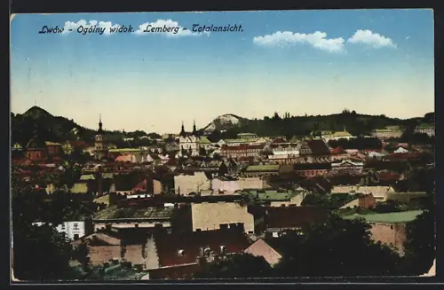 AK Lwów, Ogóly widok