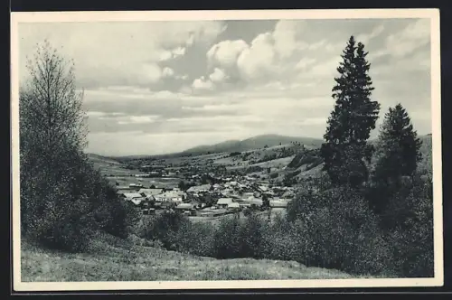 AK Jasina /Podk. Rus., Panorama