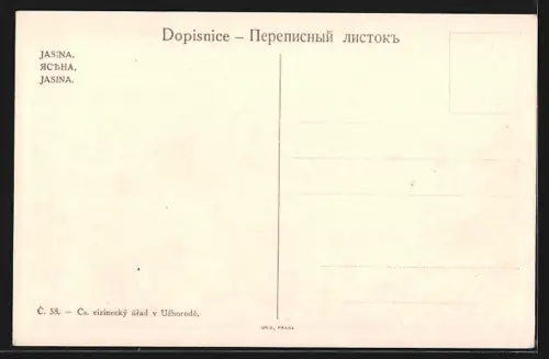 AK Jasina, Ortsansicht