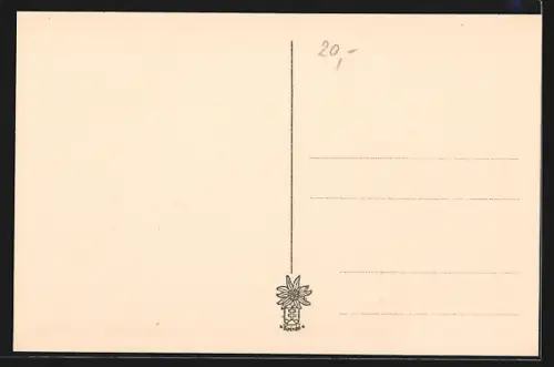 AK Jasina, Gesamtansicht