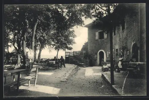 AK Blankenburg i. Thür, Restaurant, Ruine Greifenstein