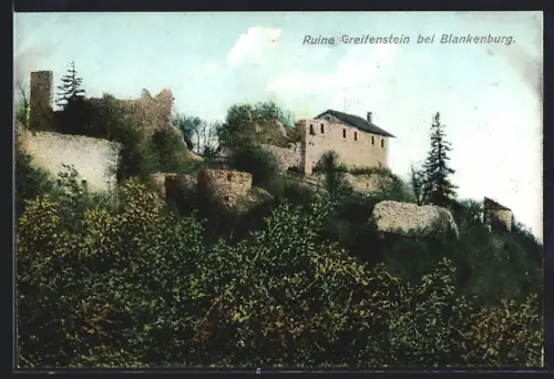 AK Blankenburg / Schwarzatal, Ruine Greifenstein