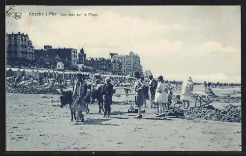 AK Knocke s. Mer, Les ânes sur la Plage