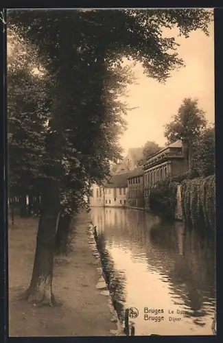 AK Bruges, Dyver